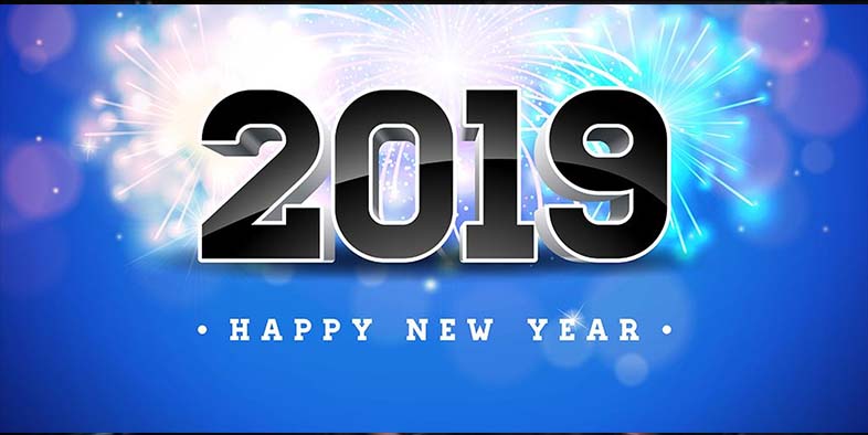 2019 New Year message golden pig nafu
