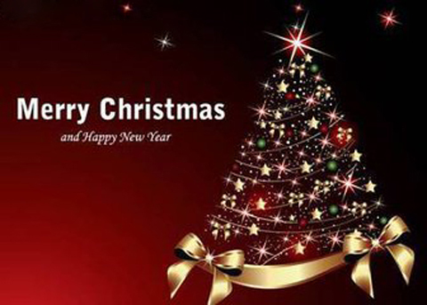 Wish you a merry christmas