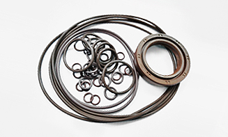 Hydraulic pump Seal kit