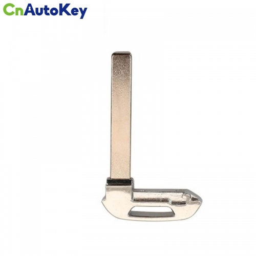 CS019014  GM key blade