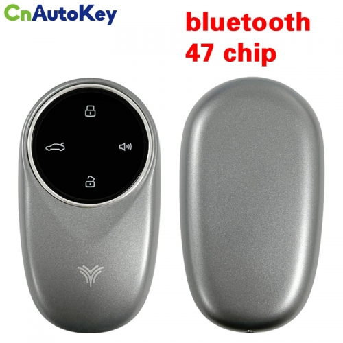 CN055001 Original Smart Remote Key for Car Keyless Entry NETA V, Neta LightNeta U, Neta S, Aya, NETA X, 03, N01, Neta U500 Pro