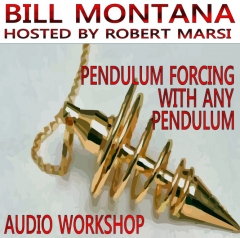 Pendulum Forcing With Any Pendulum By Bill Montana and Robert Marsi