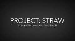 Project Straw by Brandon David & Chris Turchi