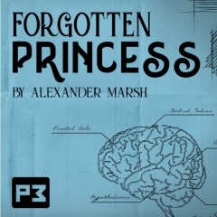Forgotten Princess by Alexander Marsh