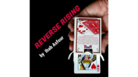 Mario Tarasini presents: Reverse Rising by Ihab Asfour