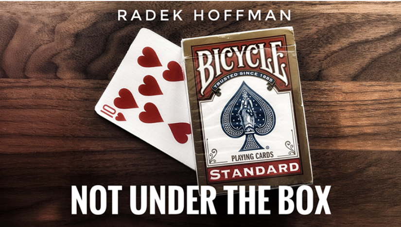Not Under the Box by Radek Hoffman