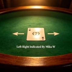 Left-Right Indicated By Miku W