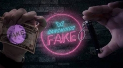Fake by SansMinds Creative Lab