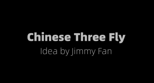 Chinese 3 Fly by Jimmy Fan and Artisan Coin Chinese 3 Fly by Jimmy Fan and Artisan Coin
