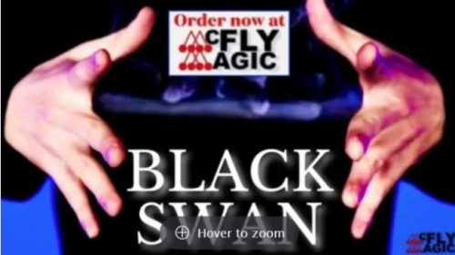 Black Swan by SUN x MJ Black Swan by SUN x MJ