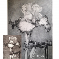 flower painting in charcoal style , charcoal painting