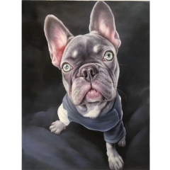 pet portrait ,pet portrait painted on canvas , Chinese custom pet portrait , Chinese oil on canvas , art supplier