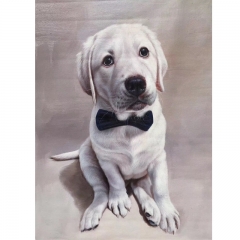 pet portrait ,pet portrait painted on canvas , Chinese custom pet portrait , Chinese oil on canvas , art supplier