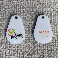 Customized non-standard smart RFID NFC tags PVC PET ABS epoxy card