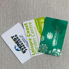 Customer printed manufacturer plastic loyalty membership VIP card