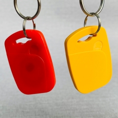 13.56MHz and 125KHz Dual Frequency RFID Keyfob /Key Fob Tag /Keychain