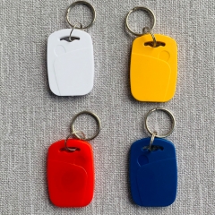 13.56MHz and 125KHz Dual Frequency RFID Keyfob /Key Fob Tag /Keychain