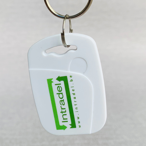 13.56MHz and 125KHz Dual Frequency RFID Keyfob /Key Fob Tag /Keychain