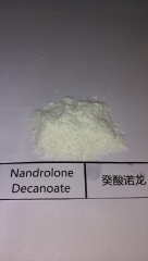 Nandrolone decanoate