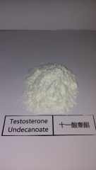 Testosterone Undecanoate