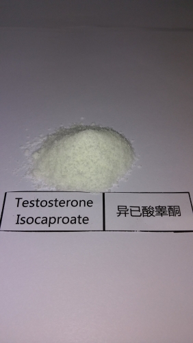 Testosterone Isocaproate