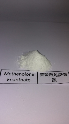 Methenolone Enanthate(Primobolin)