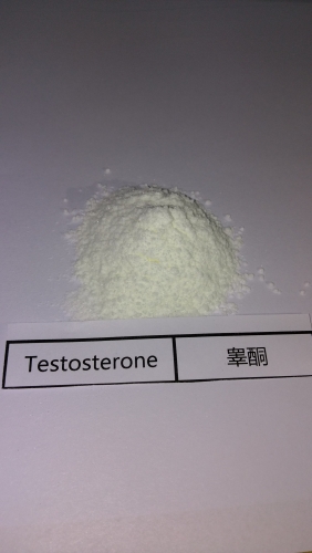 Testosterone base