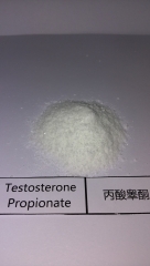 Testosterone Propionate