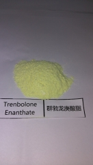 Trenbolone Enanthate