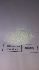 Testosterone Enanthate