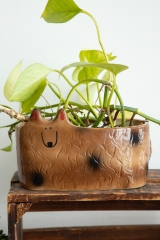 Adorable Zoo Planters Collection