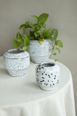 Black and White Speckled Planter Collection
