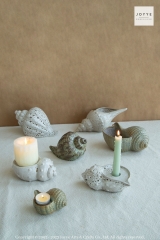 Conch Shaped Candle Holder Collection