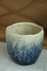 Organic Gradient Crackle Glaze Vase and Planter Collection