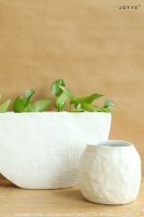 Organic White Glaze Vase and Planter Collection