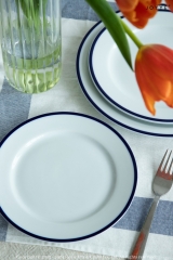 Cozy Blue and White Tableware Collection