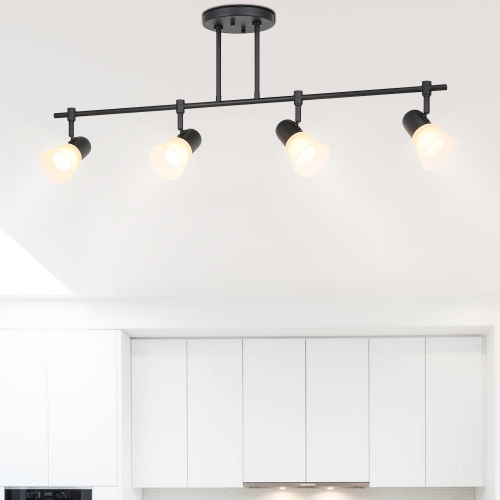 Track Lighting, 4 Light Black Kitchen Track Light Modern Hanging Kitchen Island Spot Light with Glass XB-TR1235-4-MB