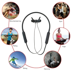 Wireless 4.2 Magnetic Earbuds Snug Fit Sports Built in Mic (IPX4 Waterproof aptX Stereo 6-8 Hours Playtime)