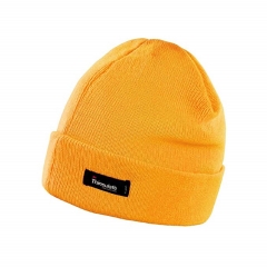 Winter 3M Thinsulate lined thermal Insulated Knitted Hat for Warehouse Chiller Freezer