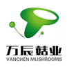 Wanchen Enoki