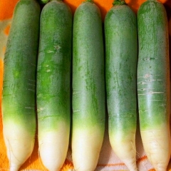 Green Radish