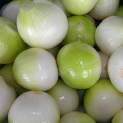 Fresh Peeled Onion