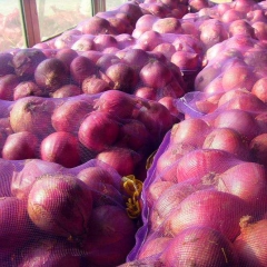 Fresh Red Onion