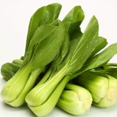 Fresh Pak choi Cabbage