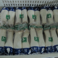 200g Bag cultivation Eryngii mushroom