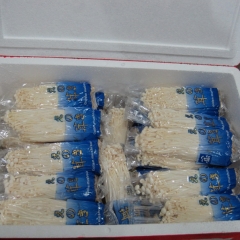 100g fresh white enoki for export