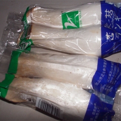 200g Bag cultivation Eryngii mushroom