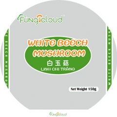 White Shimeji Mushroom for Air-shipment|Hyjpsizygus marmoreus