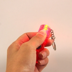 LED Key Light & Whistle