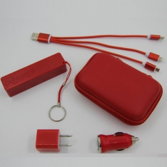 Travelling Tech Charging Kit